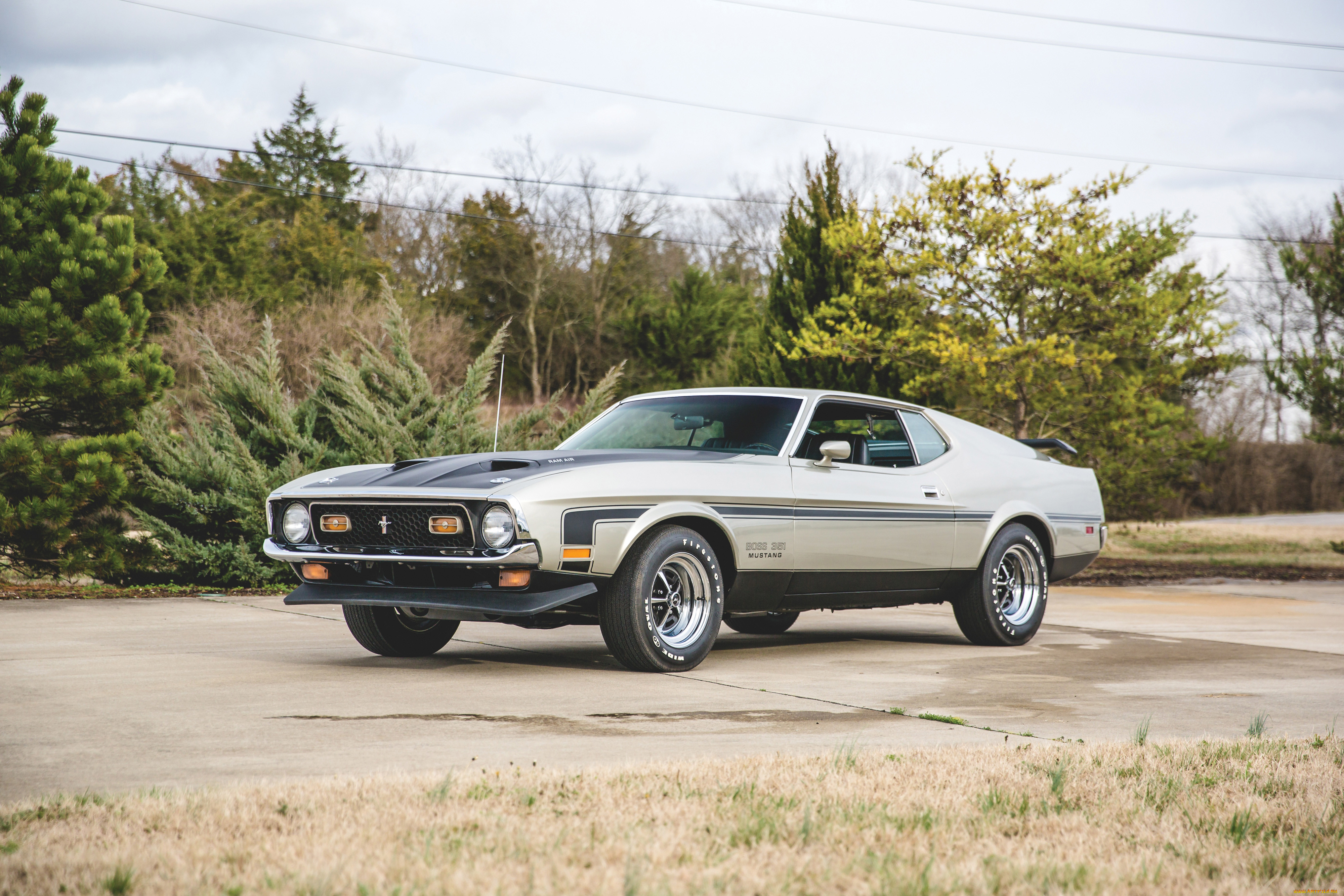 , mustang